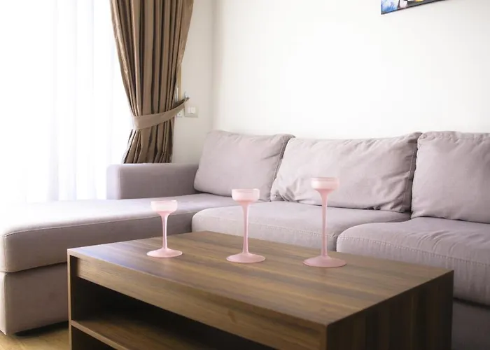 Class Porcelan Tirana