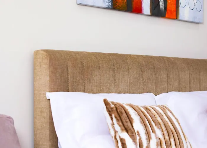 Class Porcelan Tirana