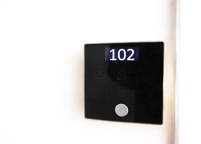 Class Porcelan Daire